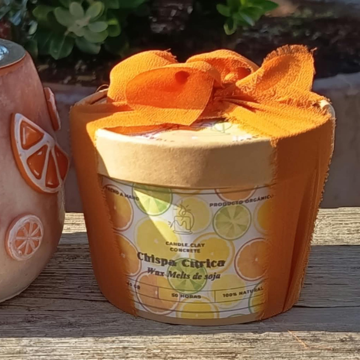 Wax Melts Artesanales – Colección VERANO
